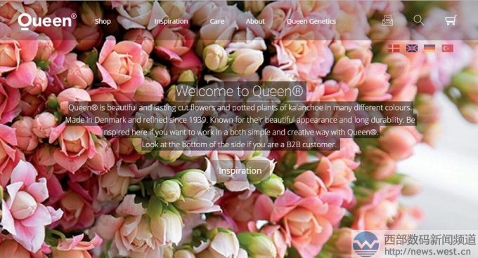 �r���K�˱��з���ٳ���������r(ji��)��800�f(w��n)��Queen.com�Ԛw��������